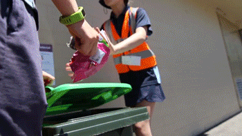 移民新西蘭，你必須要了解的垃圾分類