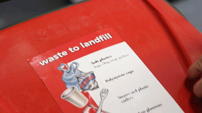 移民新西蘭，你必須要了解的垃圾分類