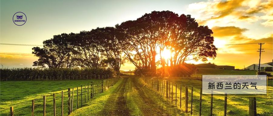 移民新西蘭，天氣必備指南！