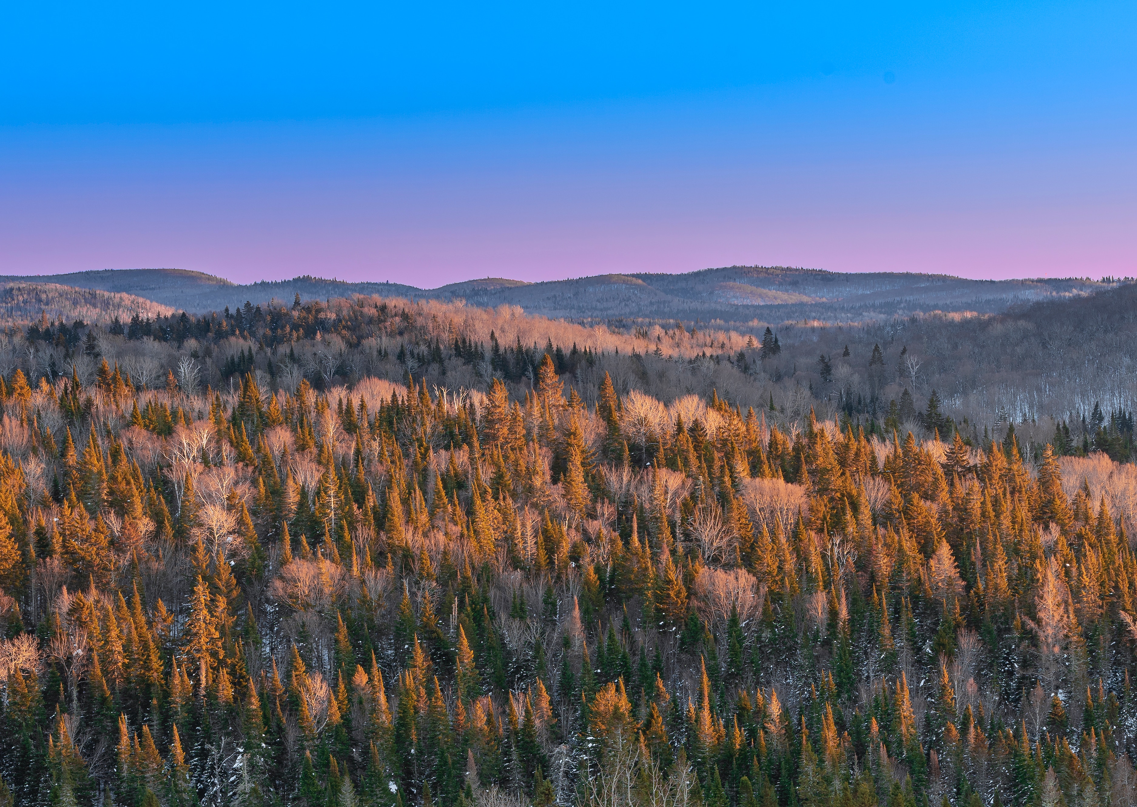 加拿大EE移民，如何提高打分？