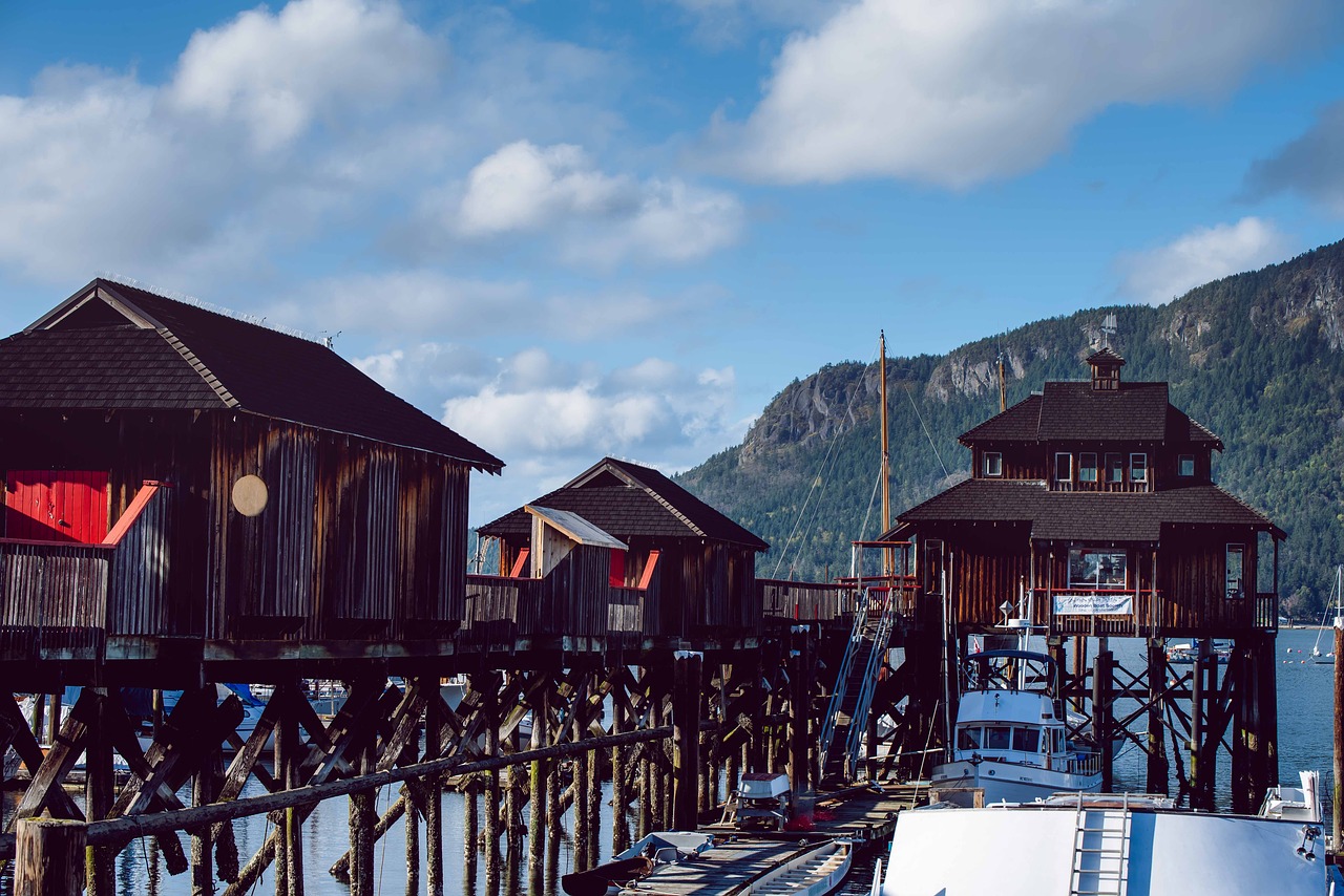 怎么進行aipp移民申請？看這些就行了