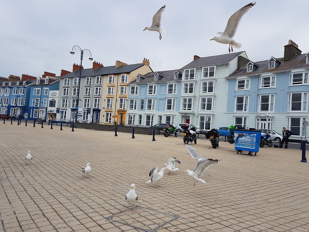 EB3移民排期長，但移民美國后的福利多到你想不到