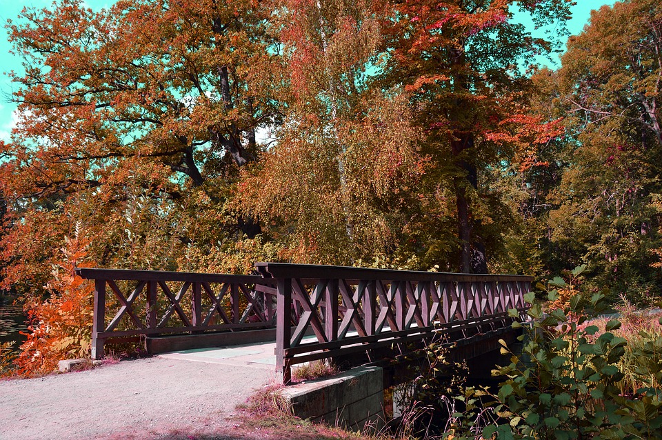 美國移民省錢攻略：移民后如何合理避稅