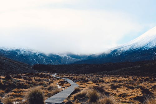 移民美國后，退休生活是怎么樣的？