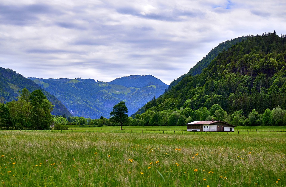 加拿大移民多少錢？如何花最少的錢移民加拿大