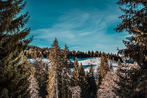 馬耳他移民買(mǎi)房，這些“坑”可不能跳