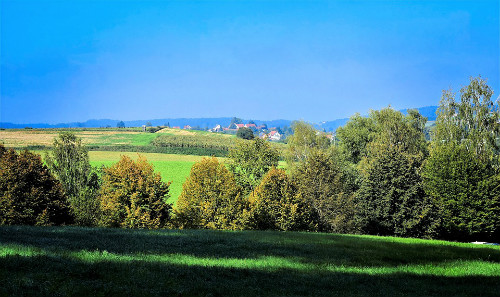 美國EB-1A移民關鍵：移民面試如何通關？