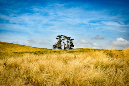 移民須知：塞浦路斯真實(shí)教育水平揭秘