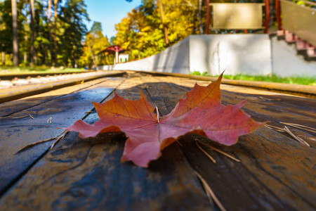 移民問答：移民加拿大到底為了什么？