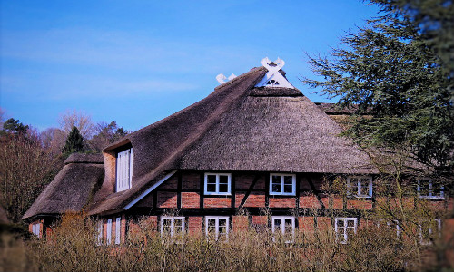 移民福利篇：新西蘭移民后的“福利大禮包”