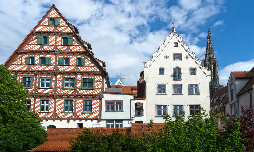 圣基茨移民小知識：背景調查都有哪些內容？