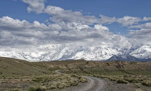 “加拿大雇主移民”