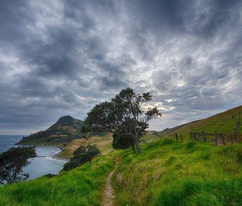 技術移民新西蘭，哪些職業/專業獲批率高？