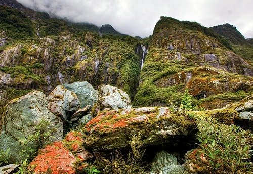 去新西蘭留學一年要花費多少錢？