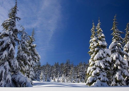 美國移民eb3是真的嗎？移民成功率高嗎？