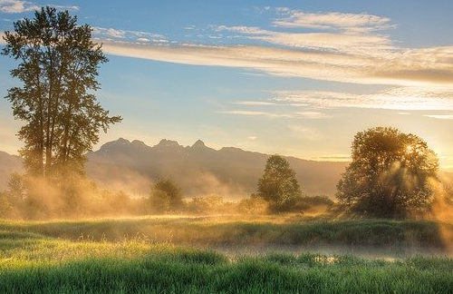 加拿大自雇移民適合哪些職業申請？