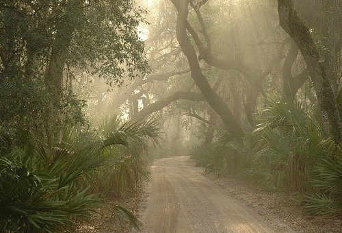 相比于熱門的EB1A移民，NIW其實優勢更多！