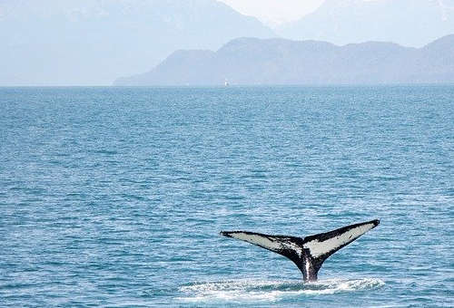 加拿大農業移民需要多少錢？真的適合普通人申請嗎？