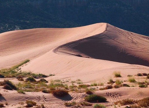 美國eb3移民靠譜嗎？綠卡獲批率高嗎？