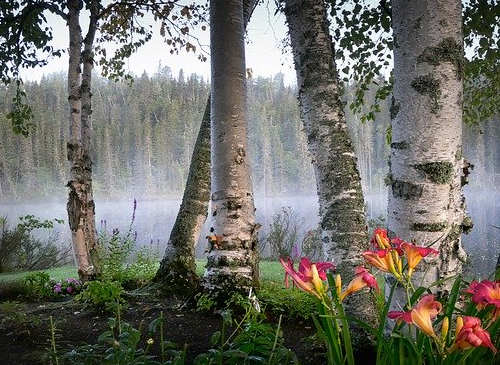 移民加拿大怎么樣？揭秘華人在加拿大的真實生活