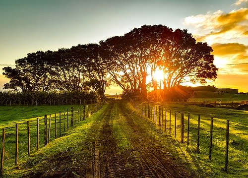 新西蘭技術移民須知：申請流程詳解