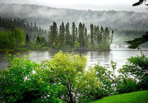 移民加拿大，為什么首選安省？