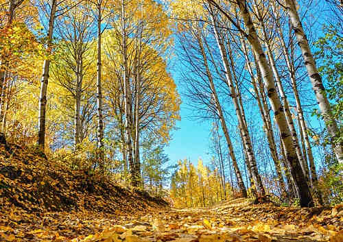 土耳其護照移民項目，適不適合中國人投資？