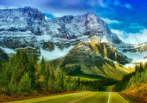 通過自雇移民加拿大需要滿足哪些條件？有哪些注意事項需要了解