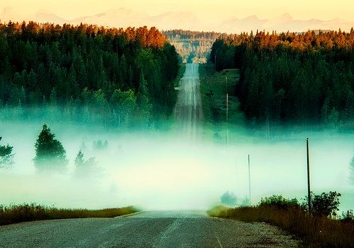 加拿大自雇移民可以DIY嗎？沒你想的那么簡單！