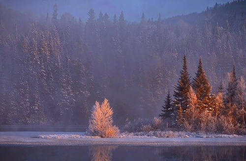 加拿大熱門省份教育條件對比，留學(xué)移民看這里