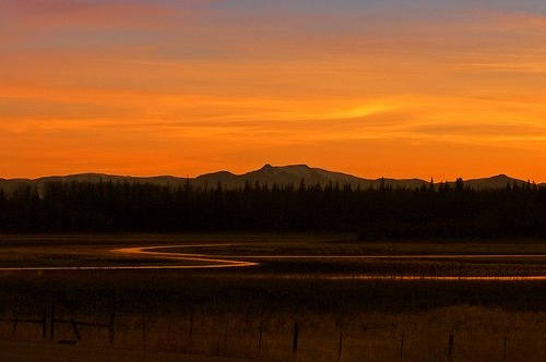 AIPP移民周期到底是多久？一年內可以拿到楓葉卡嗎？