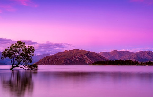 獲得新西蘭永久居民身份，你能享受哪些福利？