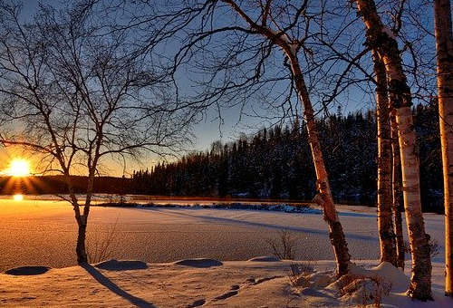 加拿大大西洋四省移民：詳解AIPP申請條件！