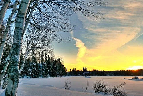 選擇雇主擔(dān)保移民加拿大，這些風(fēng)險(xiǎn)和陷阱要注意防范！