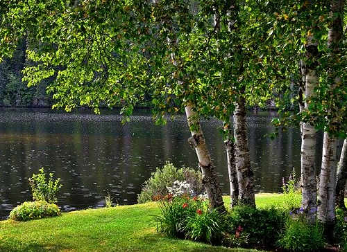 加拿大移民英語要求高嗎？