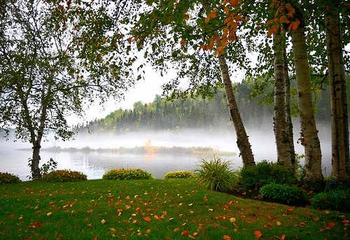 2020移民加拿大，選安省怎么樣？