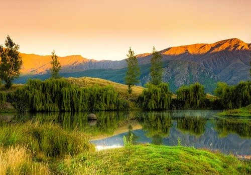 新西蘭技術移民，為什么會被要求面試？