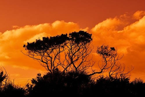 有多少華人移民塞浦路斯？當地歧視華人嗎？