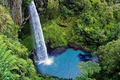 留學(xué)新西蘭可以移民嗎？畢業(yè)后如何轉(zhuǎn)移民？