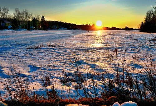 加拿大移民要多久？哪個移民項目可以快速拿到楓葉卡？