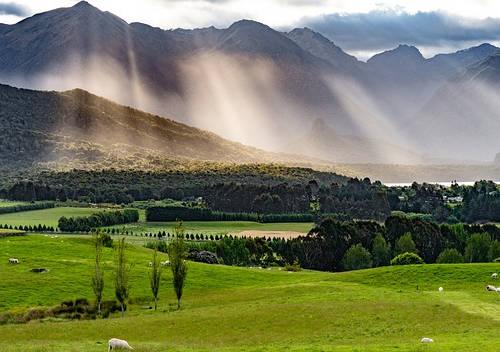 2020華人移民新西蘭后熱門城市盤點