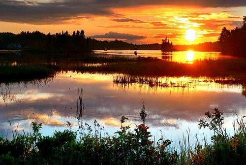 加拿大新省技術(shù)移民申請風(fēng)險多，移民選擇需謹慎