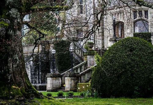 加拿大大西洋雇主擔保移民怎么樣？申請成功率高嗎？