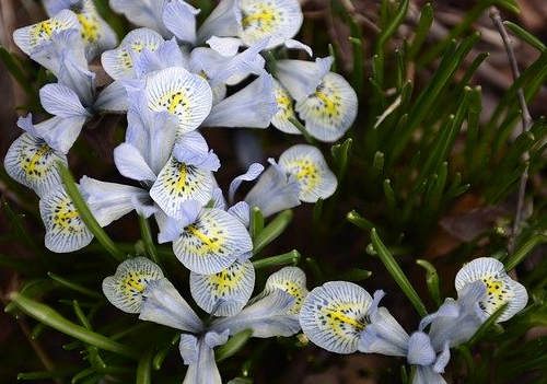 加拿大農業(yè)與食品移民（AFIP）適合哪些人申請？