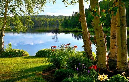 020魁北克留學移民還走的通嗎？新政下有哪些注意事項？