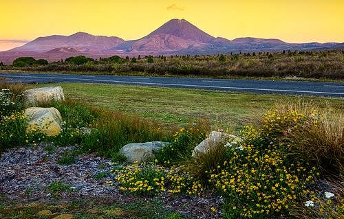 新西蘭移民容易嗎？哪種方式適合普通人？