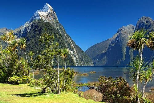 移民新西蘭條件是什么？哪種移民方式適合企業(yè)家？