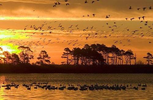 IT行業(yè)移民美國，哪個城市性價比最高？