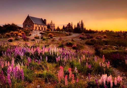 新西蘭移民好不好？看看永久回頭簽的強大用途！