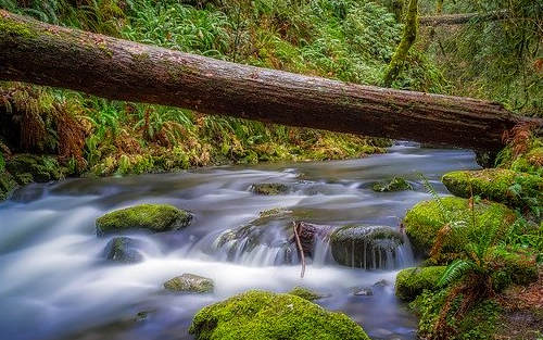 申請加拿大Express Entry，這些加分項不要忽略！